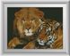 Картина з мозаїки Небезпечні кішки (повна зашивання, квадратні камені) Dream Art (DA-30171) — фото комплектації набору