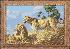 Набор алмазная мозаика Африканские львы (полная зашивка, квадратные камни) Dream Art (DA-30052, Без подрамника) фото интернет-магазина Raskraski.com.ua