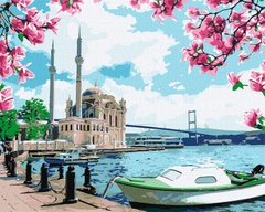 Раскраска по номерам Яркий Стамбул (KHO2757) Идейка (Без коробки)