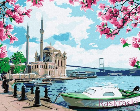 Раскраска по номерам Яркий Стамбул (KHO2757) Идейка (Без коробки)