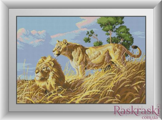 Набір алмазна мозаїка Африканські леви (повна зашивання, квадратні камені) Dream Art (DA-30052) фото інтернет-магазину Raskraski.com.ua