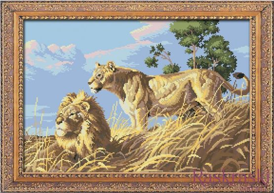 Набор алмазная мозаика Африканские львы (полная зашивка, квадратные камни) Dream Art (DA-30052, Без подрамника) фото интернет-магазина Raskraski.com.ua