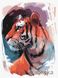Картины по номерам Взгляд тигра (KHO4233) Идейка (Без коробки)