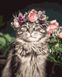 Картина Розмальовка Кіт у квітах (BRM42068) — фото комплектації набору