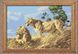 Набір алмазна мозаїка Африканські леви (повна зашивання, квадратні камені) Dream Art (DA-30052) — фото комплектації набору