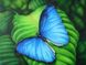 Алмазна вишивка Синя метелик ТМ Алмазная мозаика (DM-181) — фото комплектації набору