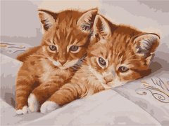 Картина по номерам Рыжие котята (AS1062) ArtStory (Без коробки)