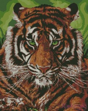 Алмазная техника Непобедимый тигр Идейка (AM6140, На подрамнике) фото интернет-магазина Raskraski.com.ua