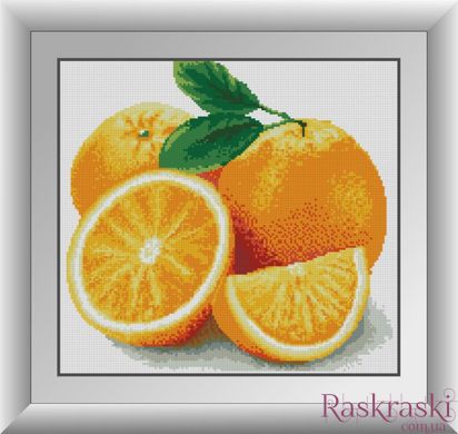 Картина из страз Апельсин (квадратные камни, полная зашивка) Dream Art (DA-30453, Без подрамника) фото интернет-магазина Raskraski.com.ua