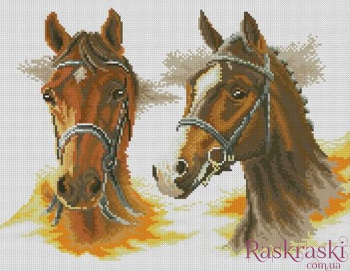 Картина из страз Две лошади (34 х 44 см) Dream Art (DA-31607, Без подрамника) фото интернет-магазина Raskraski.com.ua
