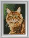 Набір алмазна вишивка Рижий кіт Dream Art (DA-30995) — фото комплектації набору