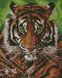 Алмазная техника Непобедимый тигр Идейка (AM6140, На подрамнике) — фото комплектации набора