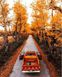 Картина за номерами Дорога через осінній ліс (MR-Q2188) Mariposa — фото комплектації набору