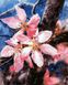 Картина за номерами Цвітіння яблуні (VP1168) Babylon — фото комплектації набору