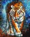 Раскраска по номерам Голодный тигр (BRM23072) — фото комплектации набора