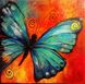 Алмазная мозаика Рисунок бабочки ТМ Алмазная мозаика (DM-182, Без подрамника) — фото комплектации набора