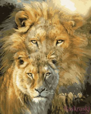 Малювання по номерам Лев і левиця (BK-GX34488) (Без коробки)
