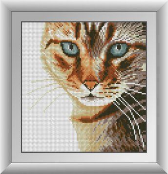 Алмазна живопис Бенгальський кіт Dream Art (DA-30574) 24 х 25 см фото інтернет-магазину Raskraski.com.ua