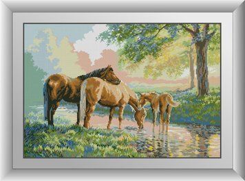 Мозаїка алмазна Коні на річці Dream Art (DA-31046) 49 x 72 см фото інтернет-магазину Raskraski.com.ua