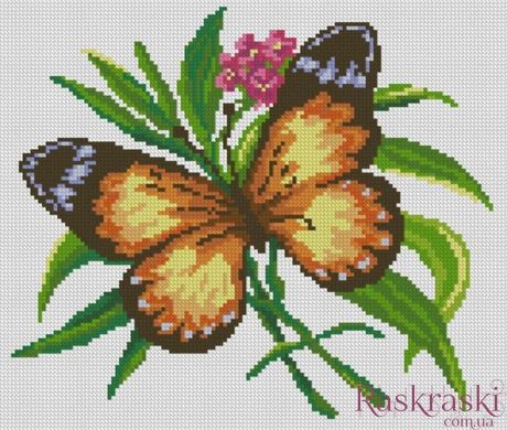 Алмазна вишивка Метелик (28 х 33 см) Dream Art (DA-31756) фото інтернет-магазину Raskraski.com.ua