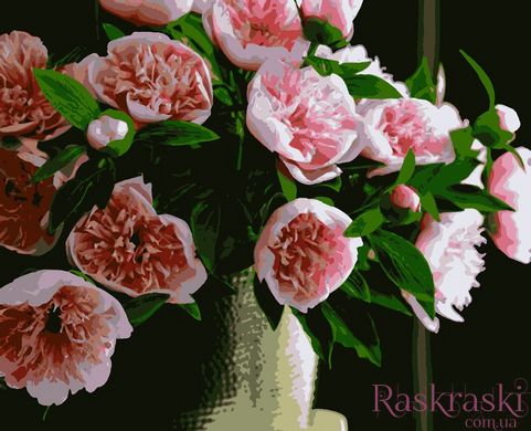 Раскраски по номерам Розовые пионы (ART-B-2020) Artissimo фото интернет-магазина Raskraski.com.ua