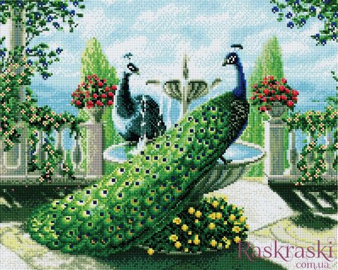 Алмазна живопис Павичі Алмазна мозаіка (OSF076) фото інтернет-магазину Raskraski.com.ua