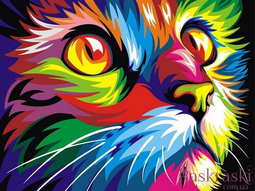 Раскраски по номерам Радужный кот (VKS002) Babylon фото интернет-магазина Raskraski.com.ua