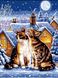 Рисование по номерам Зимние котики (VK182) Babylon — фото комплектации набора