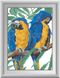 Картина из страз Два попугая Dream Art (DA-30293, Без подрамника) — фото комплектации набора