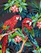 Картина за номерами Яскраві папуги (BRM27244) — фото комплектації набору