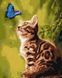 Картина по номерам Загадочная бабочка (KH4150) Идейка — фото комплектации набора