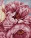 Картина за номерами Цвітіння піонів (BRM40543) — фото комплектації набору