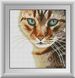 Алмазна мозаїка Бенгальський кіт Dream Art (DA-30574) — фото комплектації набору