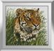 Набор алмазная вышивка Наблюдатель (тигр) Dream Art (DA-31246, Без подрамника) — фото комплектации набора