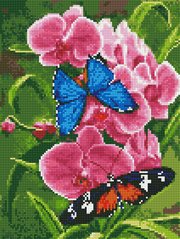 Картина алмазами Танец бабочек Rainbow Art (EJ1374, На подрамнике) фото интернет-магазина Raskraski.com.ua