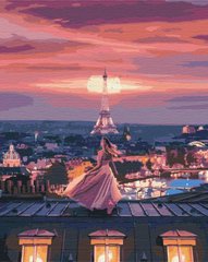 Картина раскраска Фантастический вечер в Париже (BS51902) (Без коробки)