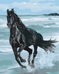 Рисование по номерам Черная лошадь (BS29330) (Без коробки)