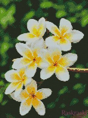 Набор алмазная мозаика Гавайский цветок Идейка (AM6105, На подрамнике) фото интернет-магазина Raskraski.com.ua
