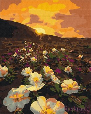 Картина по номерам Цветы солнца (BS31137) (Без коробки)