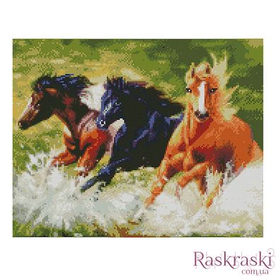 Алмазная мозаика Дикие кони Strateg (SR-FA11098, На подрамнике) фото интернет-магазина Raskraski.com.ua