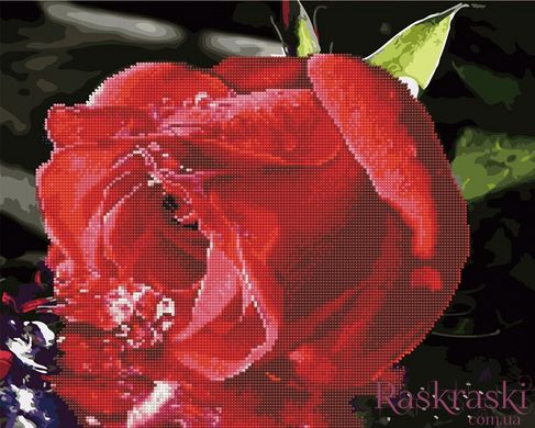 Алмазные картины-раскраски Алая роза (GZS1074) Rainbow Art (Без коробки) фото интернет-магазина Raskraski.com.ua