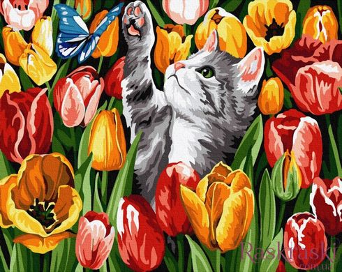 Картина по номерам Котик в тюльпанах (BRM27243) фото интернет-магазина Raskraski.com.ua