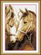 Алмазная живопись Преданность(лошади) (полная зашивка, квадратные камни) Dream Art (DA-30107, Без подрамника) — фото комплектации набора