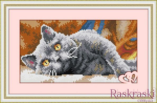 Алмазная живопись Дымчатый кот 1 (полная зашивка, квадратные камни) Dream Art (DA-30055, Без подрамника) фото интернет-магазина Raskraski.com.ua