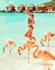 Картина по номерам Очаровательные фламинго (BRM39594) — фото комплектации набора