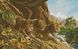 Алмазна живопис Леопарди (31 х 49 см) Dream Art (DA-31797) — фото комплектації набору