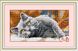 Алмазная живопись Дымчатый кот 1 (полная зашивка, квадратные камни) Dream Art (DA-30055, Без подрамника) — фото комплектации набора