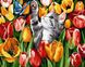 Картина за номерами Котик в тюльпанах (BRM27243) — фото комплектації набору