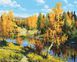 Картина по номерам Осенний лес (BRM24523) — фото комплектации набора