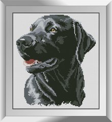 Набор алмазная мозаика Счастливый пёс Dream Art (DA-31248, Без подрамника) фото интернет-магазина Raskraski.com.ua